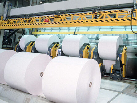 Paper/Sugar & Liquor